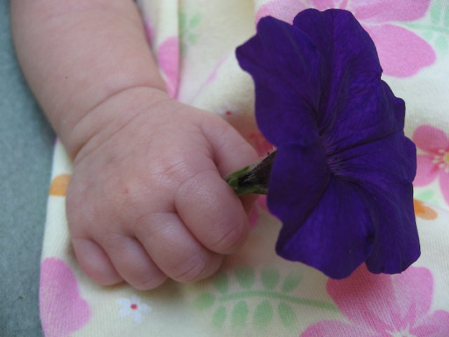 IMG_2356.JPG - She even has rolls on her wrists!