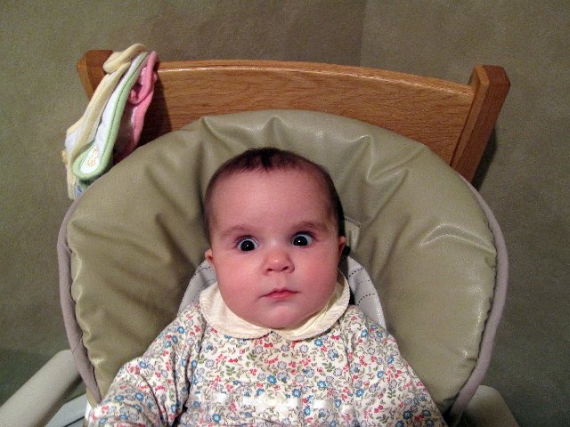 IMG_4586b.jpg - Her reaction to Mom making a raspberry noise.