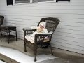 IMG_4642b