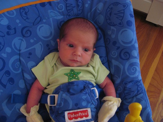 IMG_1875.JPG - First ride in the bouncy chair.