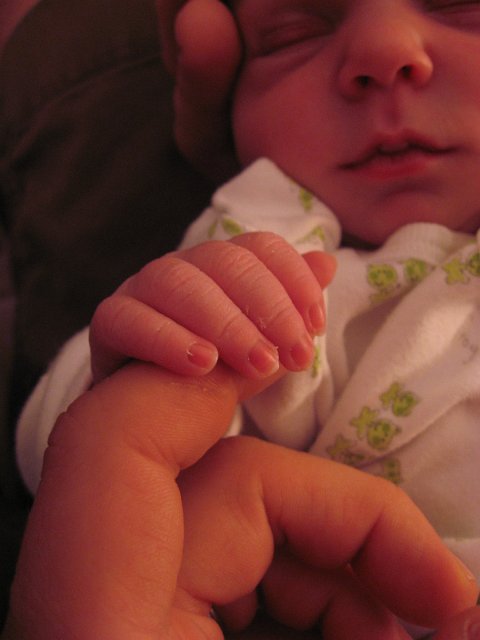 IMG_1891.JPG