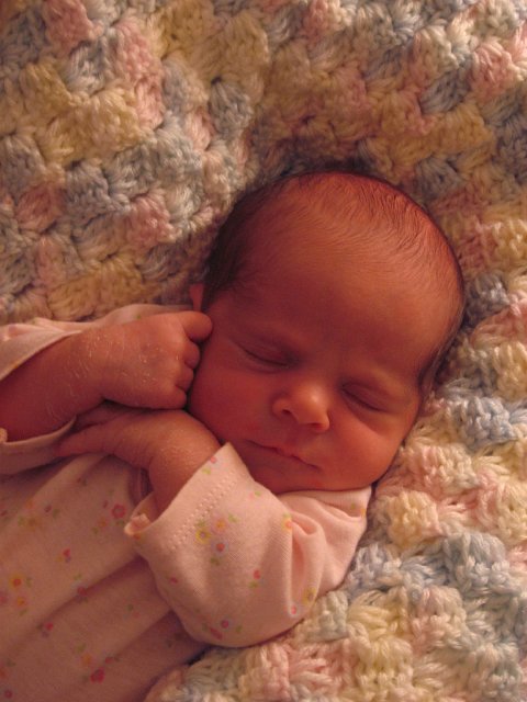IMG_1974.JPG - Precious.