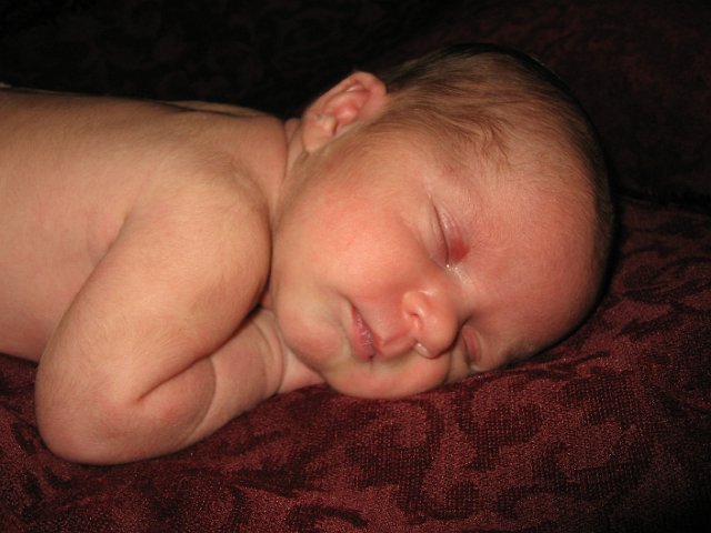 IMG_2099.JPG - Napping during our little photo shoot, what an angel.
