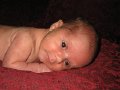 IMG_2074