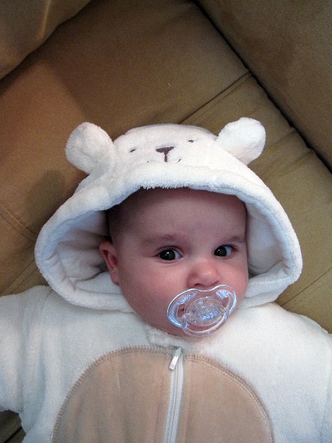 IMG_3826b.jpg - Catherine getting ready for the winter months ...