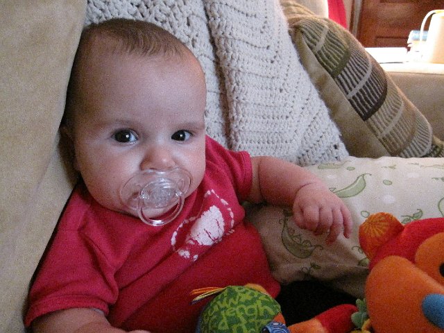 IMG_3295.JPG -                                