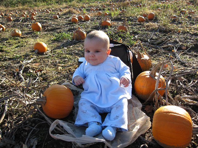 IMG_3460.JPG -                                