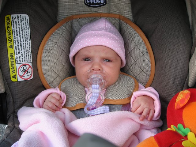 IMG_2760.JPG - Prepping for a walk in the park!