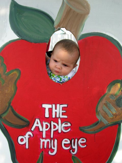 IMG_2884b.jpg - Yep, she's definitely the 'Apple of our Eyes'!!