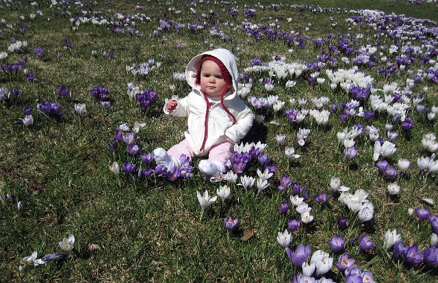IMG_7667b.jpg - Enjoying the beautiful signs of Spring.