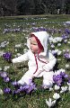IMG_7674b