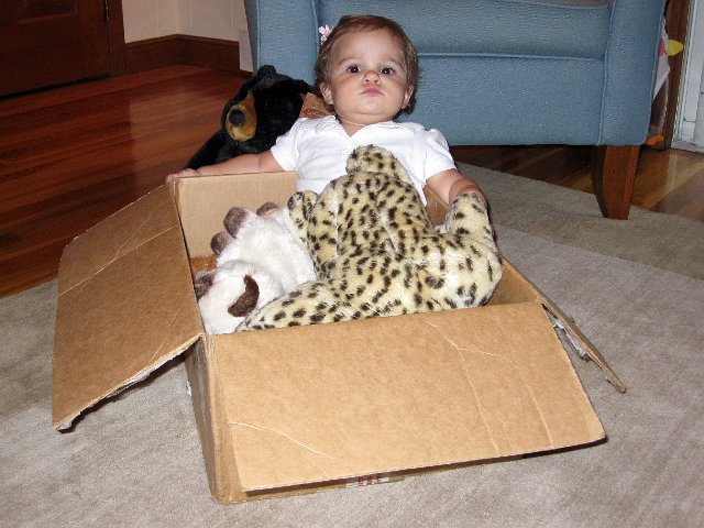 IMG_9700b.jpg - She has her own chair ... although apparently she like's the comfort of a cardboard box more!