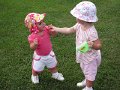 IMG_9569b