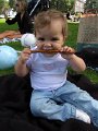 IMG_9648b