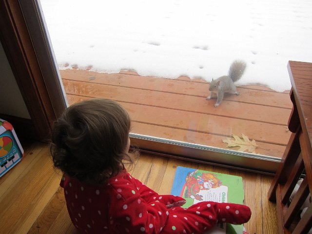 IMG_0733.JPG - Good morning, Mr. Squirrel!