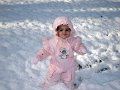 IMG_0528b