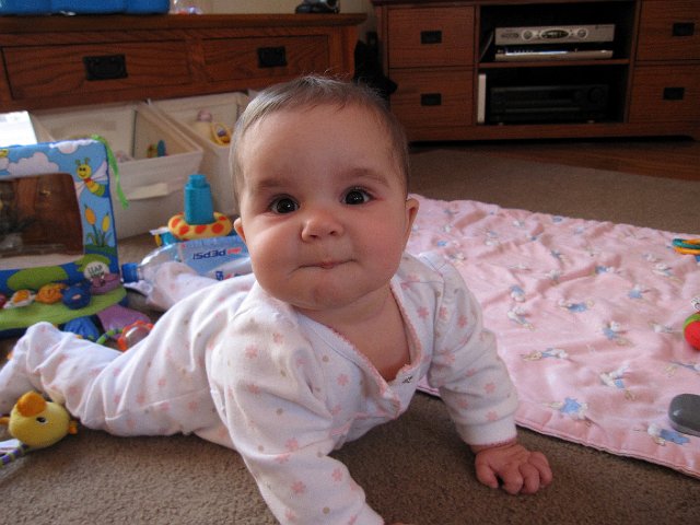 IMG_6718b.jpg -                                