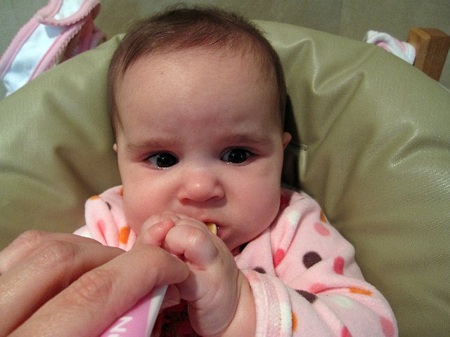 IMG_6245b.jpg - Let's try some carrots and see if you like them ...