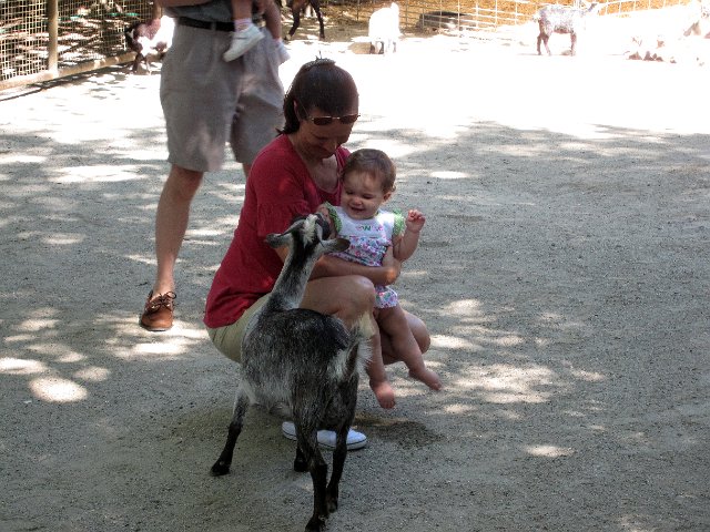 IMG_9123b.jpg - Catherine's first trip to a zoo, Southwick Zoo.