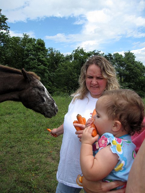 IMG_9219b.jpg - Catherine wanted to eat the carrots instead of share them with Bud.