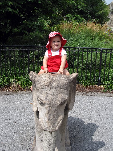 IMG_9368b.jpg -                                