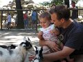 IMG_9138b