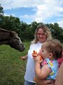 IMG_9219b