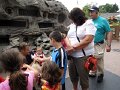 IMG_9342b