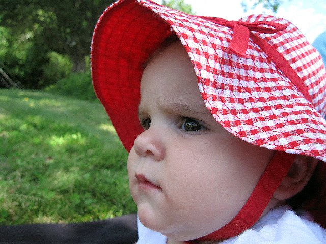 IMG_8376b.jpg - What could she possibly be thinking??