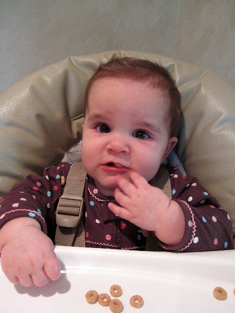 IMG_7292B.jpg - Hello to Cheerios??