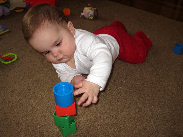 IMG_7542b.jpg - Catherine is crawling (on belly and forearms) towards the tower of blocks and knocking them down.