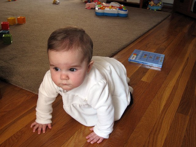 IMG_7563b.jpg - Catherine is officially crawling ..