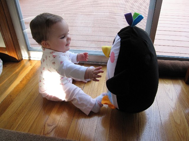 IMG_7651.JPG - She loves playing with her penguin pal.