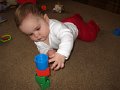 IMG_7542b