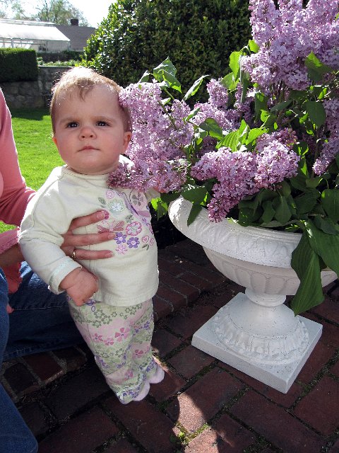 IMG_8036b.jpg -                                