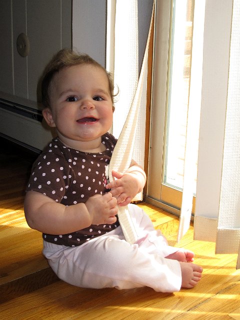 IMG_8098b.jpg - Catherine is thinking she found a new toy, the vertical blinds!!
