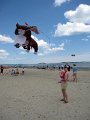 IMG_8281b