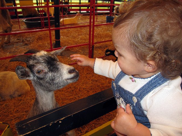 IMG_0309b.jpg - And, of course, there were animals awaiting Catherine's attention.