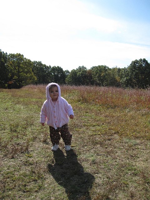 IMG_0422b.jpg - We took a hike to catch some foliage shots, but the color wasn't quite there yet.
