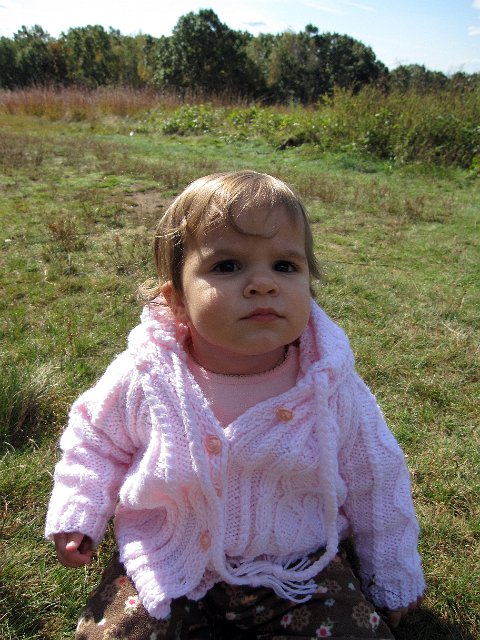 IMG_0442b.jpg -                                