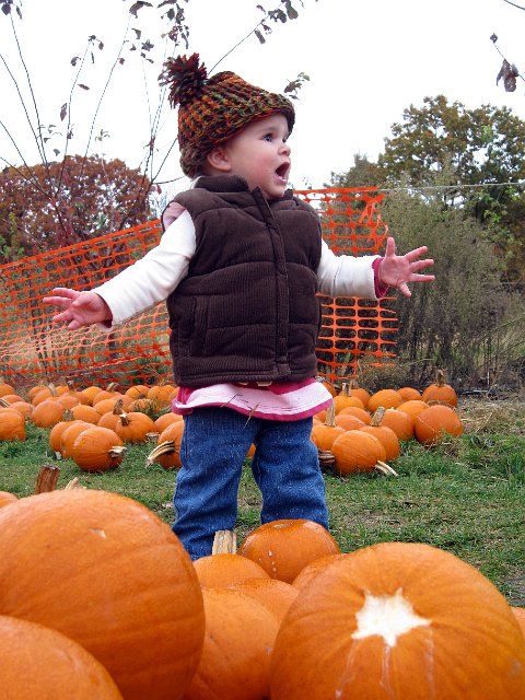 IMG_0537b.jpg - Catherine was very excited to see all the pumpkins!