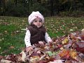 IMG_0503b