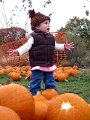 IMG_0537b