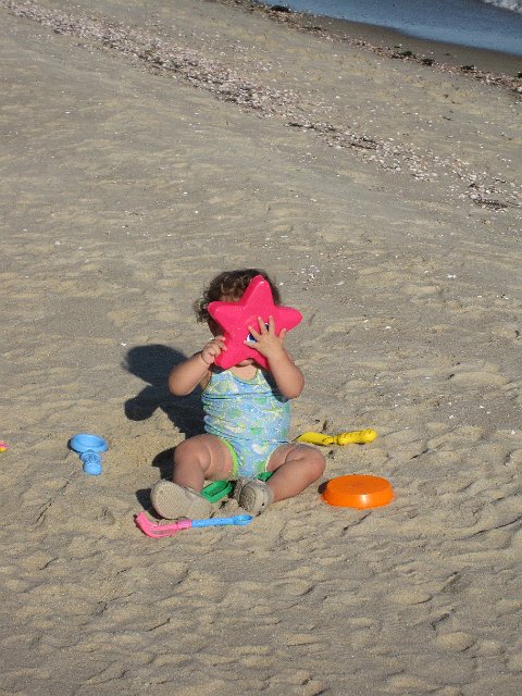 IMG_0089.JPG -                                
