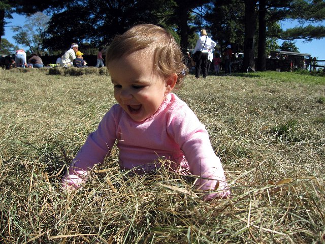 IMG_0182b.jpg -                                