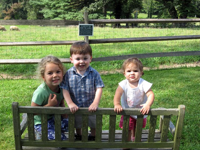 IMG_9797b.jpg - The kiddos:  Ella (5 yr.) , Alex (20 months) & Catherine (14 months).