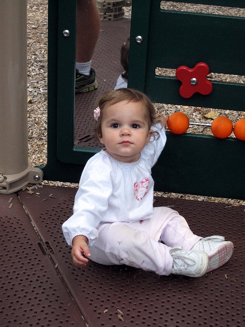 IMG_9824b.jpg -                                