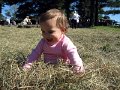 IMG_0182b