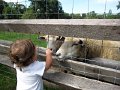 IMG_9750b