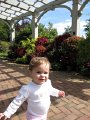 IMG_9864b